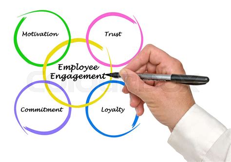 Employee Engagement Stock Image Colourbox