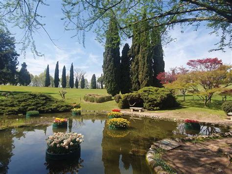 Parco Giardino Sigurtà Il Più Bello Ditalia Sogna Viaggia Ama