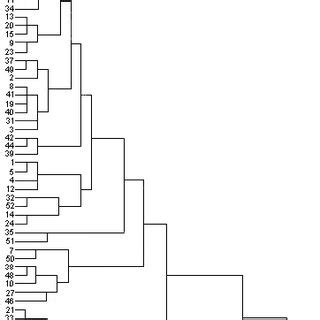 Dendrogram Based On Average Linkage Cluster Analysis Of Virulence Of 52