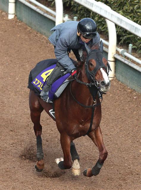 重賞3勝エアスピネル引退、茨城県阿見町の「うまんまパーク」で乗馬に スポニチ競馬web