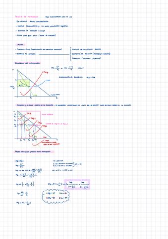 Tema 5 El Monopolio Pdf