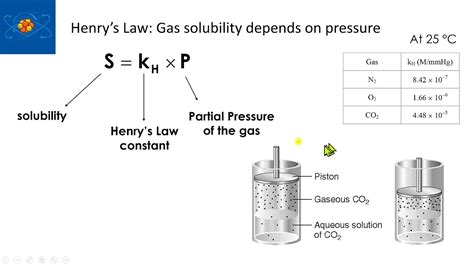 08 Ch 14 Henrys Law And Gas Solubility Youtube