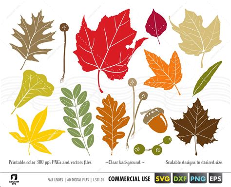 Fall Bundle Svg Autum Bundle Svg Thanksgiving Svg Fall Autum Leaves