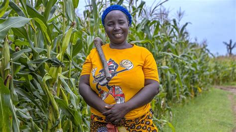 Improving The Lives Of Small Scale Farmers In Africa