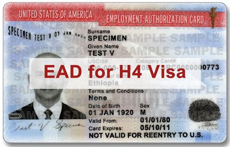 Ead Documents For L2 Visa At Sasfrustrateblog Blog