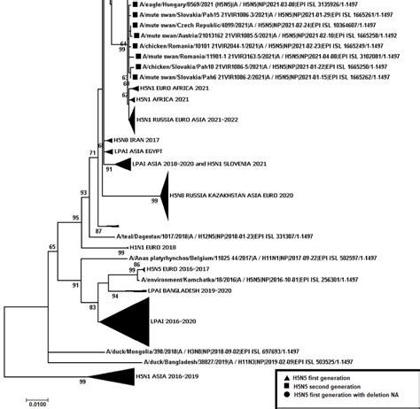 Phylogenetic Tree Constructed Using The Nj Method Based On The