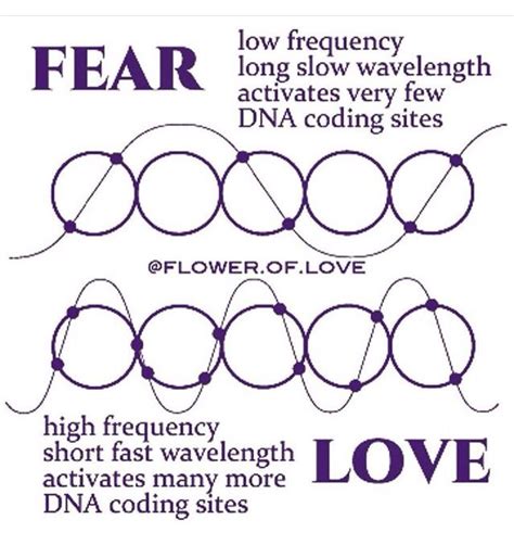 Vibrational Frequency Chart In Detail