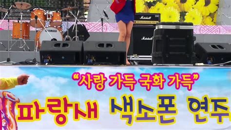 가수 🌻정채라🌻마산 가고파국화축제☘여여☘ Youtube