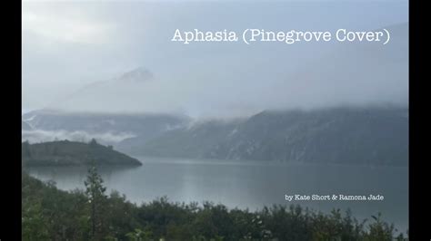 Aphasia Pinegrove Cover YouTube