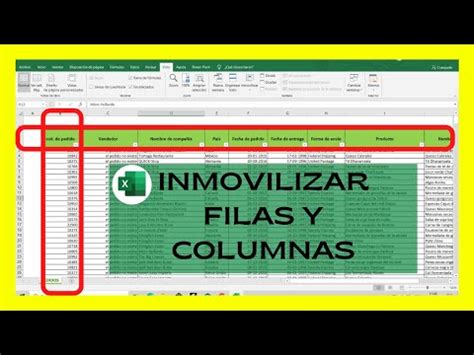 Fijar Columnas En Excel Gu A Completa Y Paso A Paso Abrir Empresa