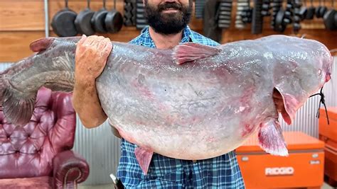 Angler Catches Ms State Record Catfish Wired Fish