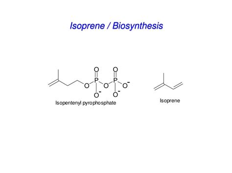 PPT - Terpenes: The Isoprene Rule PowerPoint Presentation, free ...