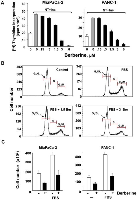 Berberine Inhibits Dna Synthesis Cell Cycle Progression And