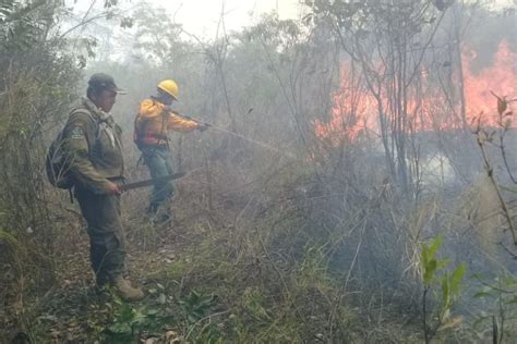 Bolivia más de un millón de hectáreas se han perdido por incendios