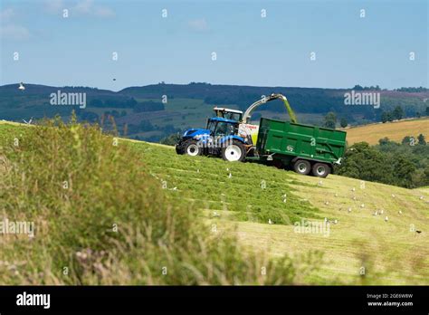 Forage Harvester Hi Res Stock Photography And Images Alamy