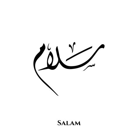 Leadership explains the mission of Al Salam 10