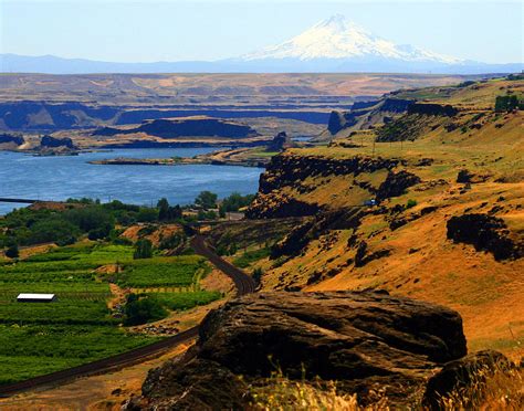 Mt Hood And The Columbia River Gorge Photograph By Margaret Hood