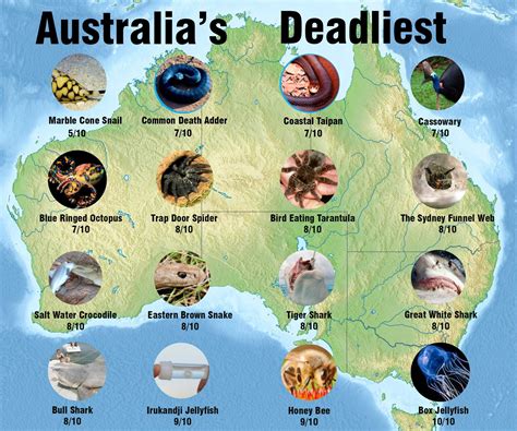 Most unique ways to die from an animal in your state – Artofit