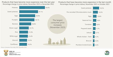 Mike Johnston Buzz Cpi Index South Africa November 2023