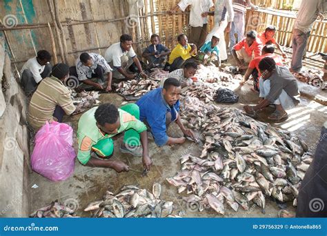 African Fish Market Editorial Stock Image Image Of Traditional 29756329