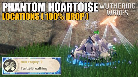 Phantom Hoartoise Locations Shiny Echo Turtle Wuthering Waves Youtube