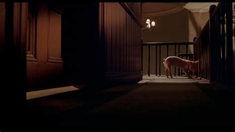 Babe Pig In The City Screencap Fancaps