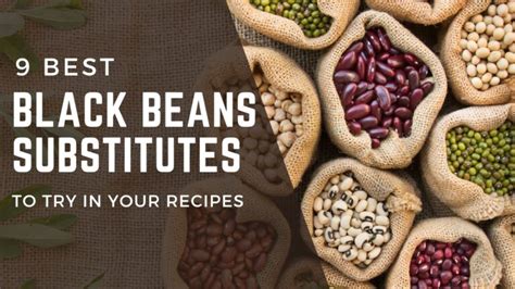 Best Substitutes For Black Beans 9 Alternatives FOODANDKITCHENAPPLIANCES