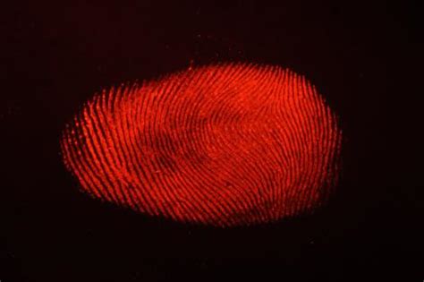 Latent Prints DPS Forensic Services