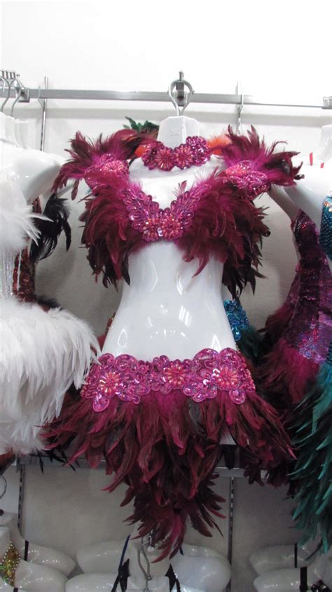 Evita Ftr Feather Dance Drag Bra Skirt Bra Belt Samba Dress Costume Set