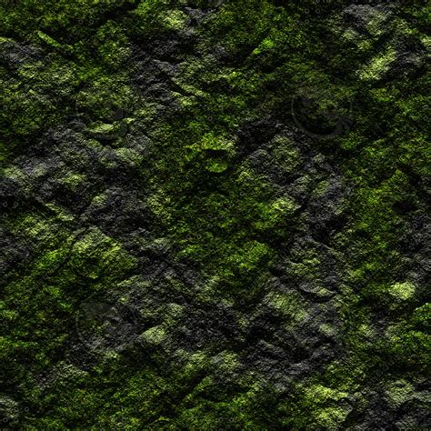 Texture Jpeg Mossy Rock Cliff