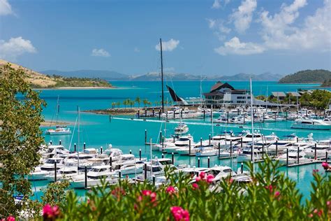 hamilton island day   lunch travel playground