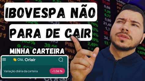 Ibovespa em QUEDA minha carteira de investimentos está NEGATIVA o que