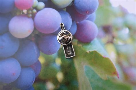 Wine Bottle Lapel Pin Lapelpinplanet