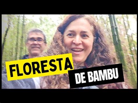 Vida na Roça Bambu Veja o que aprendemos em um curso incrível