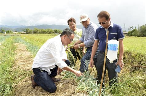 全台農損破2億 宜蘭受災最為嚴重 新聞 Rti 中央廣播電臺