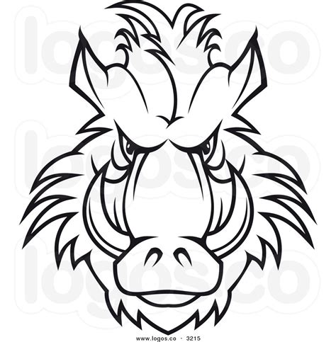 Wild Boar Face Drawing