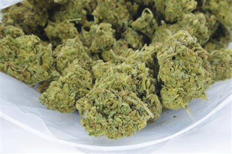 Buy AK 47 Oz Special Canada Bliss Herbals