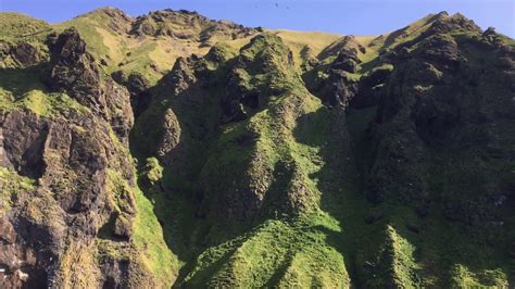 Stafsnes Puffin Bird Cliffs Vestmannaeyjar Iceland By Wilderness