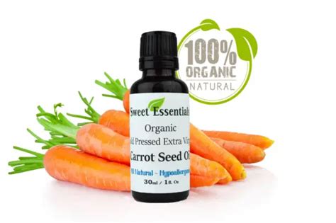 Carrot Seed Oil For Skin Carrot Oil For Skin Benefits Spf Skin Lightening How To Use How