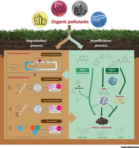 Degradation Or Humification Rethinking Strategies To Attenuate Organic