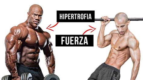 Ganar MÚsculo Vs Ganar Fuerza Aprende A Diferenciar Tu Forma De