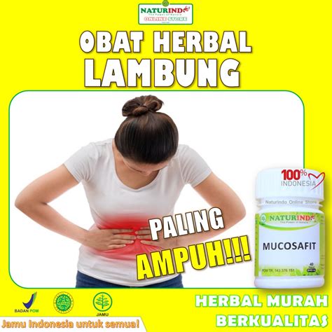 Jual Obat Asam Lambung Maag Herbal Ampuh Asam Lambung Maag Gerd Kronis