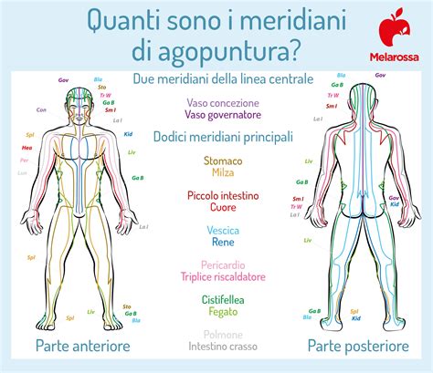 Agopuntura Che Cos A Cosa Serve Benefici Come Funziona