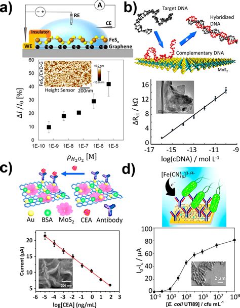 Two Dimensional Materials In Biosensing And Healthcare From In Vitro