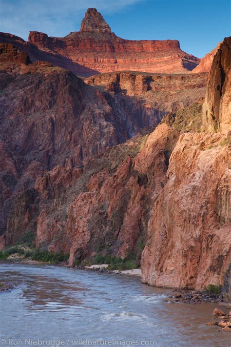 Grand Canyon Photos By Ron Niebrugge