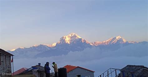 Esplora Il Breve Mardi Himal Trek Da Pokhara In 5 Giorni Klook Stati