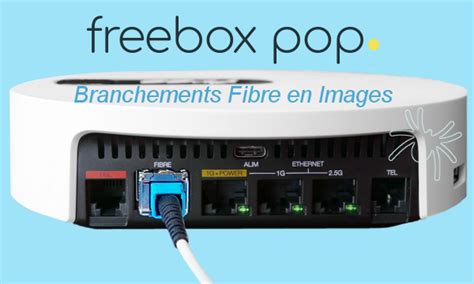 Freebox Pop Fibre Branchements Reportage Photos Hot Sex Picture