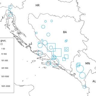 Migration and stop-over sites of Eurasian Crane Grus grus of the ...