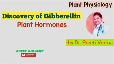 Discovery Of Gibberellin Ll Plant Hormone Ll Plant Physiology Ll Botany Preetbiology Youtube