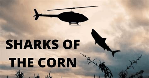 Sharks of the Corn: the Horror-comedy Filled With Dangerous Sharks! | Trending News Buzz